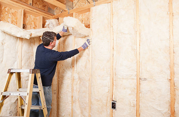 Best Blown-In Insulation  in Kathleen, FL