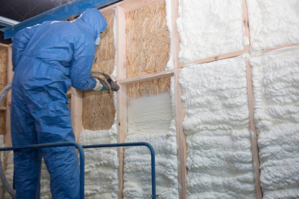 Reliable Kathleen, FL Insulation Services Solutions